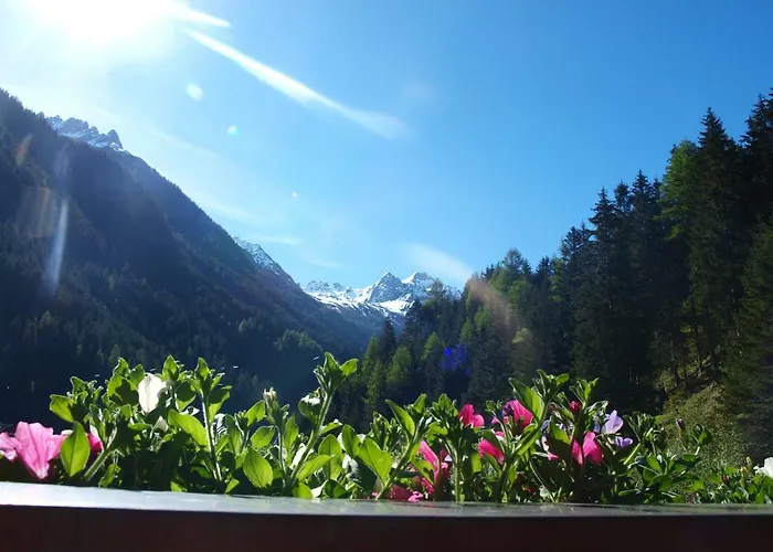 Haus Hubertus Appartement